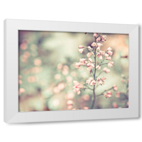 Flowering Heuchera White Modern Wood Framed Art Print by Frank, Assaf