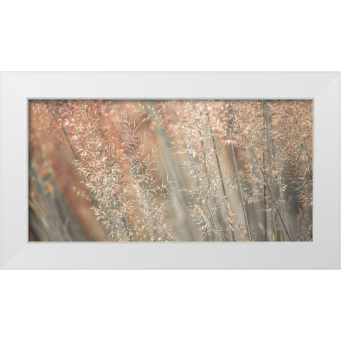 Fountain grass White Modern Wood Framed Art Print by Frank, Assaf