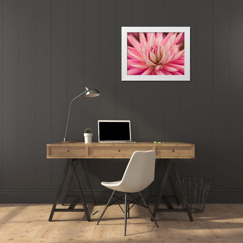 Dahlia Flower White Modern Wood Framed Art Print by Frank, Assaf