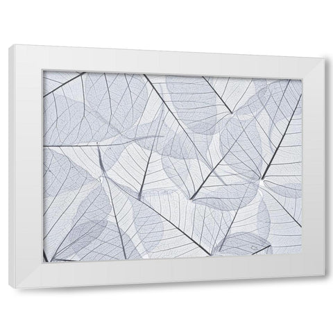 Skeleton leaves White Modern Wood Framed Art Print by Frank, Assaf