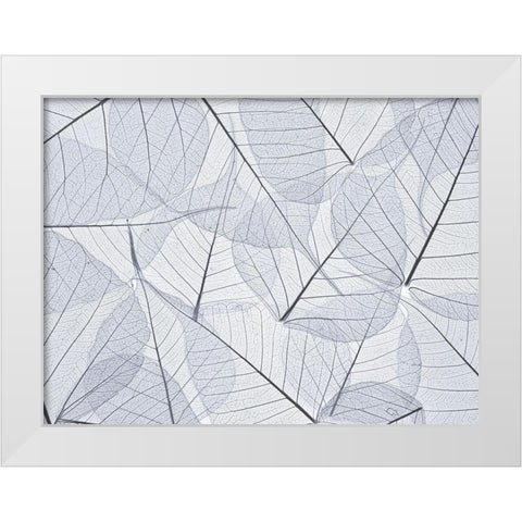 Skeleton leaves White Modern Wood Framed Art Print by Frank, Assaf