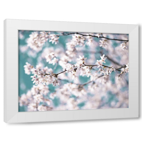 Blossom flowers White Modern Wood Framed Art Print by Frank, Assaf