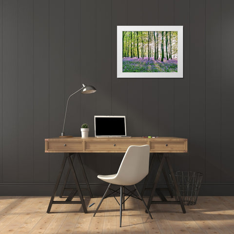 Bluebells covering forest floor White Modern Wood Framed Art Print by Frank, Assaf