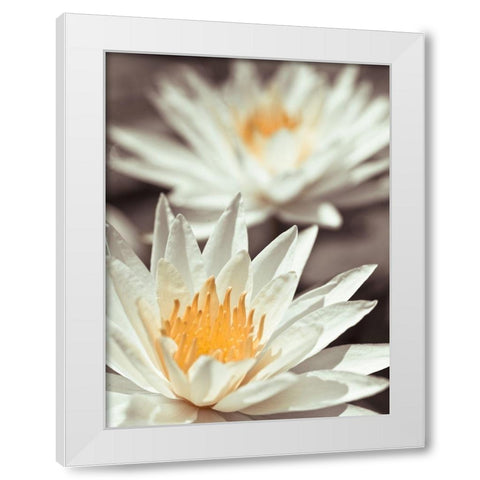Water Lilies White Modern Wood Framed Art Print by Frank, Assaf