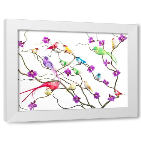 Fake birds on branches White Modern Wood Framed Art Print by Frank, Assaf