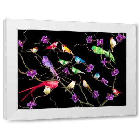 Fake birds on branches White Modern Wood Framed Art Print by Frank, Assaf