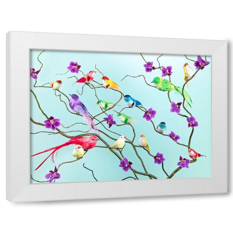 Fake birds on branches White Modern Wood Framed Art Print by Frank, Assaf