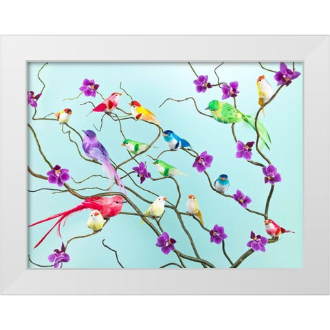 Fake birds on branches White Modern Wood Framed Art Print by Frank, Assaf