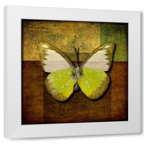 Handwritten old postcard with butterfly White Modern Wood Framed Art Print by Frank, Assaf