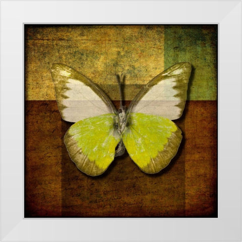 Handwritten old postcard with butterfly White Modern Wood Framed Art Print by Frank, Assaf