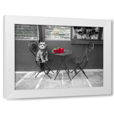 Dog Sitting on a chair with a banch of roses on a table White Modern Wood Framed Art Print by Frank, Assaf