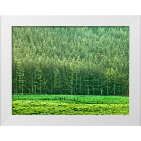 Forest edge White Modern Wood Framed Art Print by Frank, Assaf