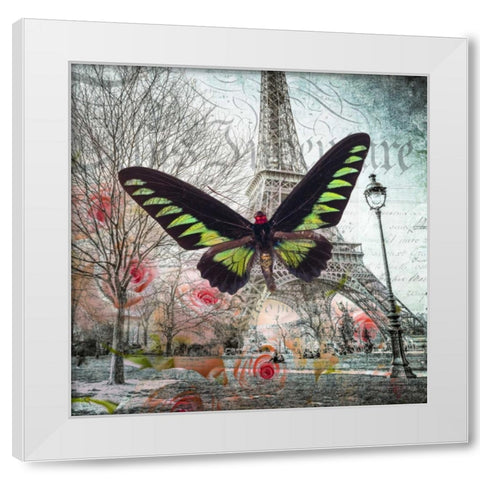 Eiffel tower with butterfly and roses overlay White Modern Wood Framed Art Print by Frank, Assaf