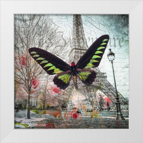 Eiffel tower with butterfly and roses overlay White Modern Wood Framed Art Print by Frank, Assaf