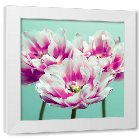 Three tulips White Modern Wood Framed Art Print by Frank, Assaf