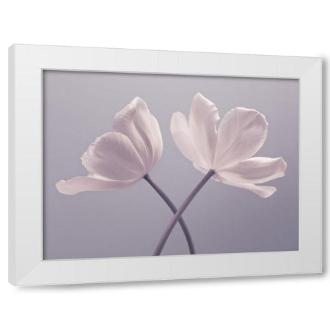 Two Tulip flowers White Modern Wood Framed Art Print by Frank, Assaf