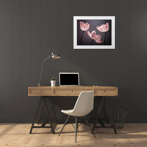 Three Tulips, FTBR-1823 White Modern Wood Framed Art Print by Frank, Assaf