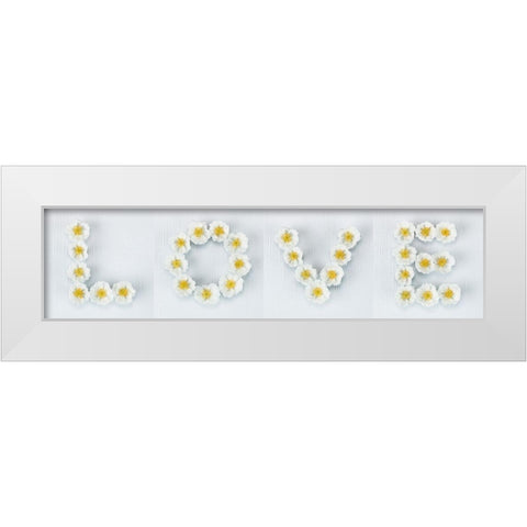 Word Love written in white Roses, FTBR-1916 White Modern Wood Framed Art Print by Frank, Assaf