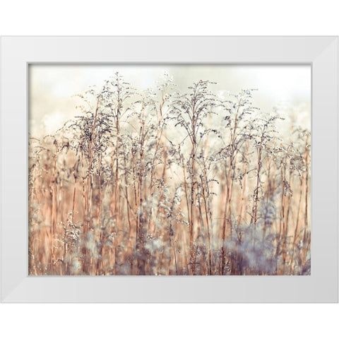 Grass Reeds White Modern Wood Framed Art Print by Frank, Assaf