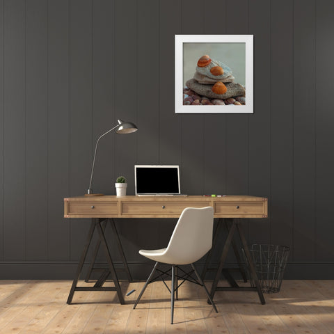 Sea shells on pebbles White Modern Wood Framed Art Print by Frank, Assaf