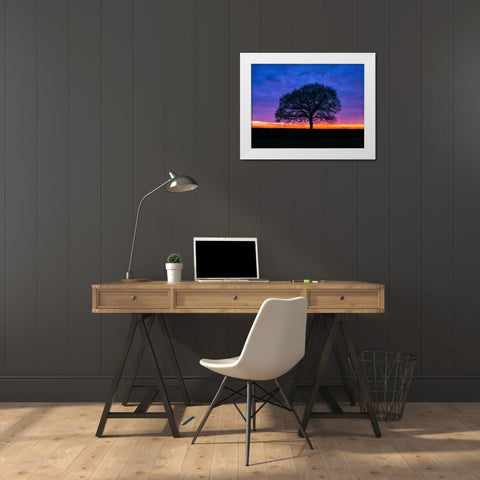 Silhouette of a tree against coloured skies White Modern Wood Framed Art Print by Frank, Assaf