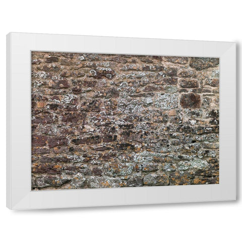 Old wall White Modern Wood Framed Art Print by Frank, Assaf