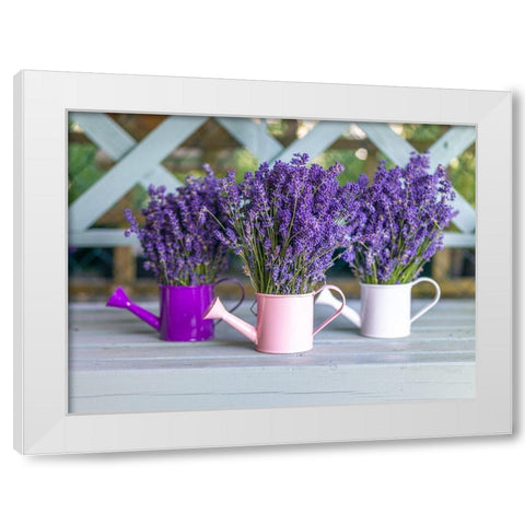 Watering cans with Lavender flowers White Modern Wood Framed Art Print by Frank, Assaf