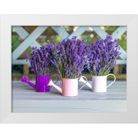 Watering cans with Lavender flowers White Modern Wood Framed Art Print by Frank, Assaf