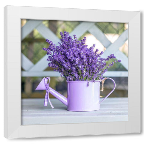 Watering can with Lavender flowers White Modern Wood Framed Art Print by Frank, Assaf