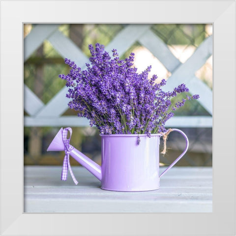 Watering can with Lavender flowers White Modern Wood Framed Art Print by Frank, Assaf