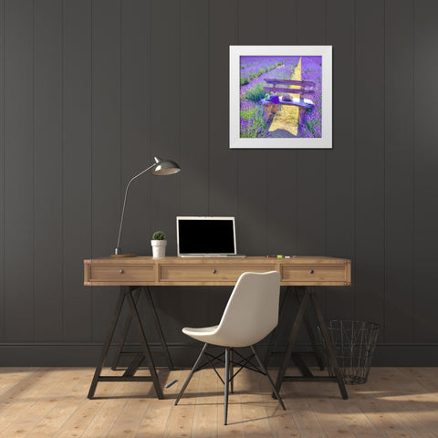 Bench in Lavender field White Modern Wood Framed Art Print by Frank, Assaf