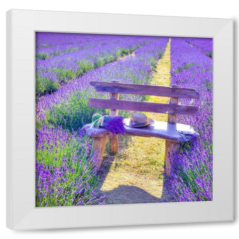 Bench in Lavender field White Modern Wood Framed Art Print by Frank, Assaf