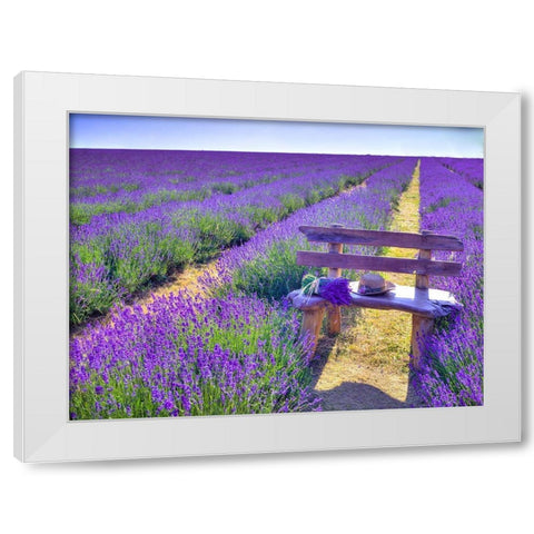 Bench in Lavender field White Modern Wood Framed Art Print by Frank, Assaf