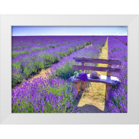 Bench in Lavender field White Modern Wood Framed Art Print by Frank, Assaf