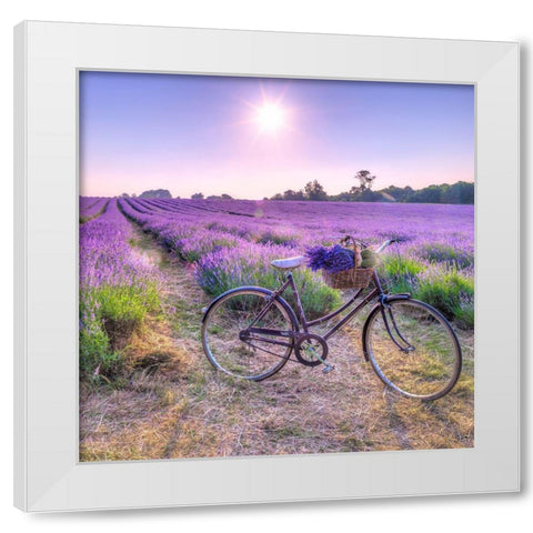 Bicycle with flowers in a Lavender field White Modern Wood Framed Art Print by Frank, Assaf