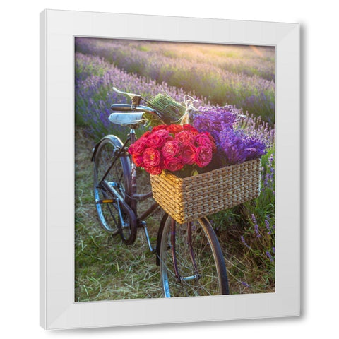 Basket of flowers on a bicycle White Modern Wood Framed Art Print by Frank, Assaf