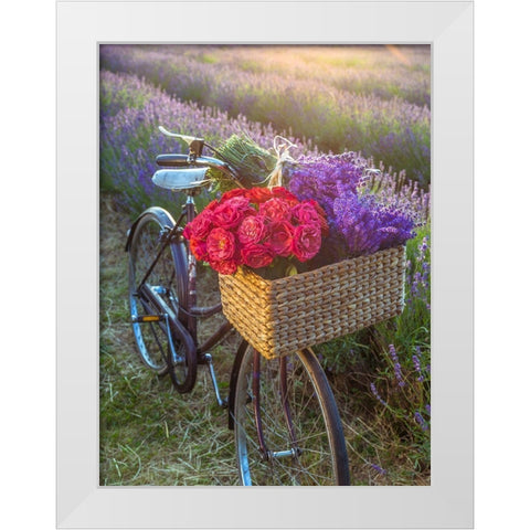 Basket of flowers on a bicycle White Modern Wood Framed Art Print by Frank, Assaf