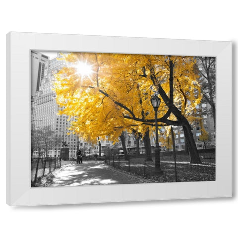 Pathway through Central park, New York City White Modern Wood Framed Art Print by Frank, Assaf