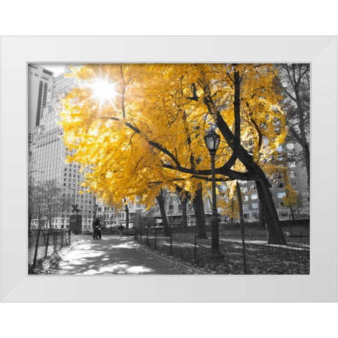 Pathway through Central park, New York City White Modern Wood Framed Art Print by Frank, Assaf