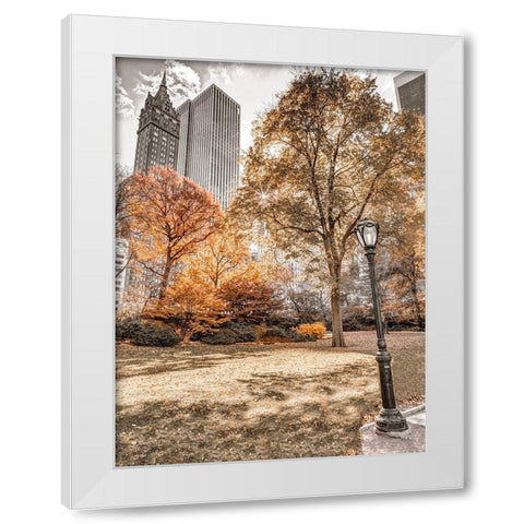 Central park in autumn-Manhattan-New York White Modern Wood Framed Art Print by Frank, Assaf