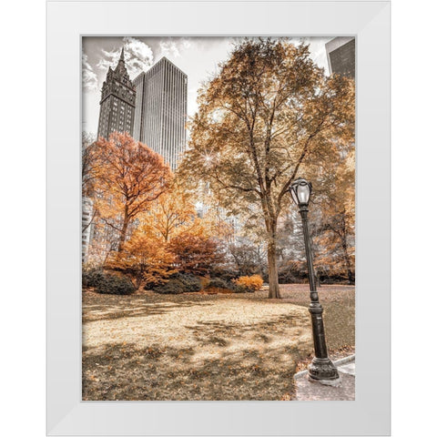 Central park in autumn-Manhattan-New York White Modern Wood Framed Art Print by Frank, Assaf