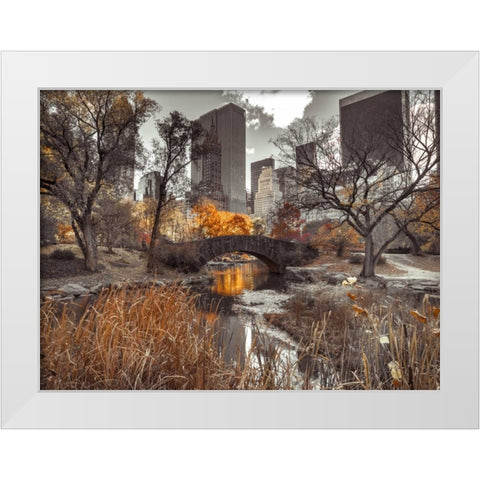 Gapstow Bridge in autumn, Central Park, New York city, FTBR-1801 White Modern Wood Framed Art Print by Frank, Assaf