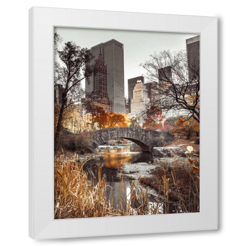 Gapstow bridge in autumn, Central Park, New York city, FTBR-1802 White Modern Wood Framed Art Print by Frank, Assaf