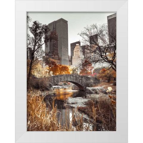 Gapstow bridge in autumn, Central Park, New York city, FTBR-1802 White Modern Wood Framed Art Print by Frank, Assaf