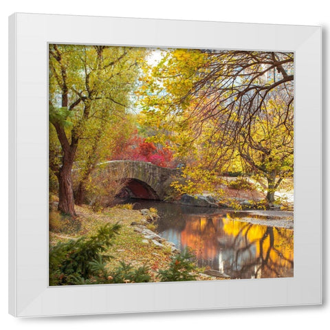 Gapstow bridge in autumn-Central Park-New York city White Modern Wood Framed Art Print by Frank, Assaf