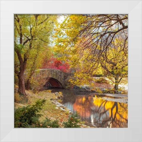 Gapstow bridge in autumn-Central Park-New York city White Modern Wood Framed Art Print by Frank, Assaf