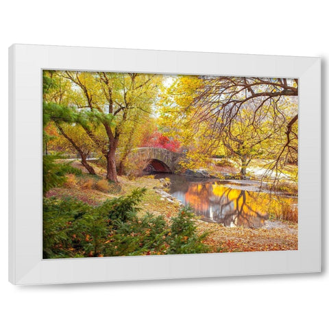 Gapstow bridge in autumn-Central Park-New York city White Modern Wood Framed Art Print by Frank, Assaf