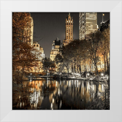 Evening view of Central Park in New York City White Modern Wood Framed Art Print by Frank, Assaf