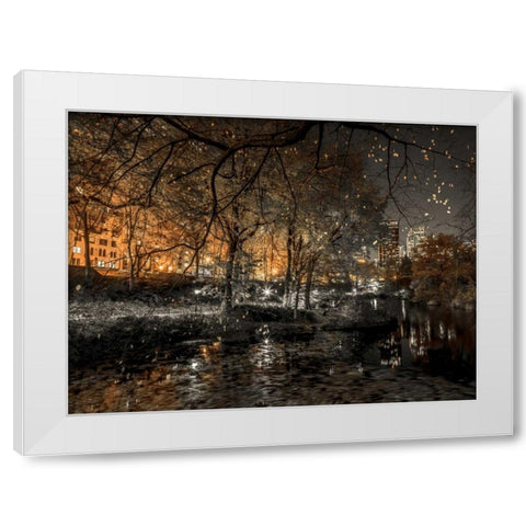 Evening view of Central Park in New York City White Modern Wood Framed Art Print by Frank, Assaf