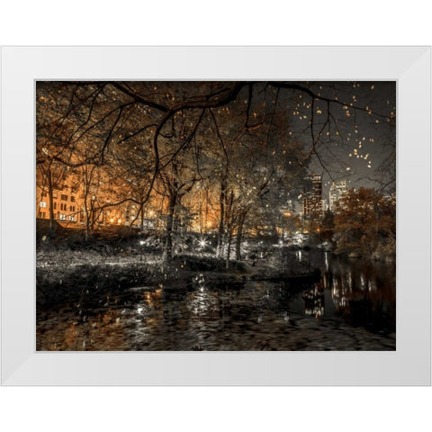 Evening view of Central Park in New York City White Modern Wood Framed Art Print by Frank, Assaf